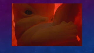 FUNCIÓN DE LOS SERES VIVOS 