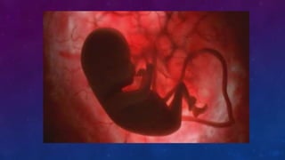 FUNCIÓN DE LOS SERES VIVOS 