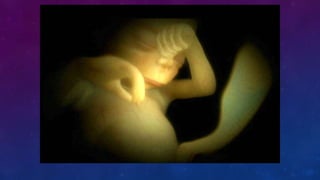 FUNCIÓN DE LOS SERES VIVOS 