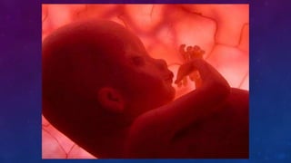 FUNCIÓN DE LOS SERES VIVOS 