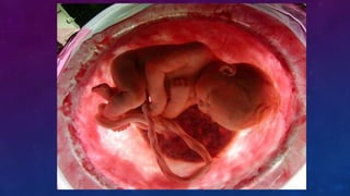 FUNCIÓN DE LOS SERES VIVOS 