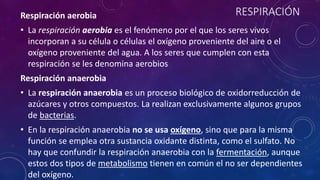 Respiración aerobia RESPIRACIÓN 
• La respiración aerobia es el fenómeno por el que los seres vivos 
incorporan a su célula o células el oxígeno proveniente del aire o el 
oxígeno proveniente del agua. A los seres que cumplen con esta 
respiración se les denomina aerobios 
Respiración anaerobia 
• La respiración anaerobia es un proceso biológico de oxidorreducción de 
azúcares y otros compuestos. La realizan exclusivamente algunos grupos 
de bacterias. 
• En la respiración anaerobia no se usa oxígeno, sino que para la misma 
función se emplea otra sustancia oxidante distinta, como el sulfato. No 
hay que confundir la respiración anaerobia con la fermentación, aunque 
estos dos tipos de metabolismo tienen en común el no ser dependientes 
del oxígeno. 
 