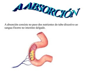 A absorción consiste no paso dos nutrientes do tubo dixestivo ao
sangue.Ocorre no intestino delgado.

 