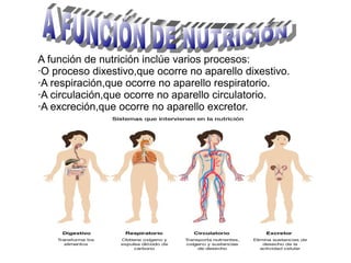 A función de nutrición inclúe varios procesos:
·O proceso dixestivo,que ocorre no aparello dixestivo.
·A respiración,que ocorre no aparello respiratorio.
·A circulación,que ocorre no aparello circulatorio.
·A excreción,que ocorre no aparello excretor.

 