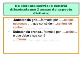 No sistema nervioso central
diferéncianse 2 zonas de aspecto
distinto:
No sistema nervioso central
diferéncianse 2 zonas de aspecto
distinto:
– .Substancia gris....formada por ......corpos
neuronais ..... que constitúen ..centros de
control.....................................
– Substancia branca.. formada por ....axóns...
e que debe a súa cor á
....mielina.....................................
 