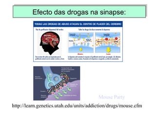 Efecto das drogas na sinapse:Efecto das drogas na sinapse:
http://learn.genetics.utah.edu/units/addiction/drugs/mouse.cfm
Mouse Party
 