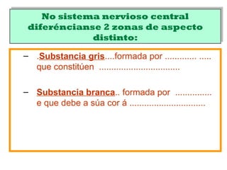 No sistema nervioso central
diferéncianse 2 zonas de aspecto
distinto:
No sistema nervioso central
diferéncianse 2 zonas de aspecto
distinto:
– .Substancia gris....formada por ............. .....
que constitúen .................................
– Substancia branca.. formada por ...............
e que debe a súa cor á ...............................
 