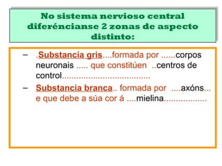 No sistema nervioso central
diferéncianse 2 zonas de aspecto
distinto:
No sistema nervioso central
diferéncianse 2 zonas de aspecto
distinto:
– .Substancia gris....formada por ......corpos
neuronais ..... que constitúen ..centros de
control.....................................
– Substancia branca.. formada por ....axóns...
e que debe a súa cor á ....mielina..................
 