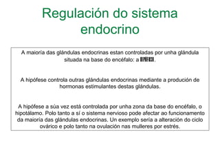Regulación do sistema
endocrino
A maioría das glándulas endocrinas estan controladas por unha glándula
situada na base do encéfalo: a hipófese.
A hipófese controla outras glándulas endocrinas mediante a produción de
hormonas estimulantes destas glándulas.
A hipófese a súa vez está controlada por unha zona da base do encéfalo, o
hipotálamo. Polo tanto a sí o sistema nervioso pode afectar ao funcionamento
da maioría das glándulas endocrinas. Un exemplo sería a alteración do ciclo
ovárico e polo tanto na ovulación nas mulleres por estrés.
 