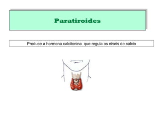 ParatiroidesParatiroides
Produce a hormona calcitonina que regula os niveis de calcio
 