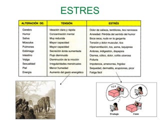 ESTRES
 