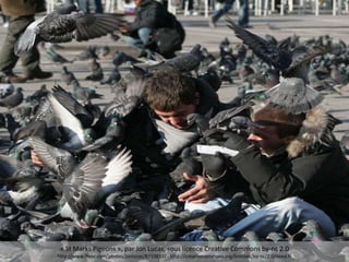 Congestion
« St Marks Pigeons », par Jon Lucas, sous licence Creative Commons by-nc 2.0
http://www.flickr.com/photos/jonlucas/8710833/ - http://creativecommons.org/licenses/by-nc/2.0/deed.fr
 