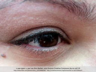 « eye-open », par Lee Ann Barker, sous licence Creative Commons by-nc-nd 2.0
http://www.flickr.com/photos/calico_13/419846038/ - http://creativecommons.org/licenses/by-nc-nd/2.0/deed.fr
 