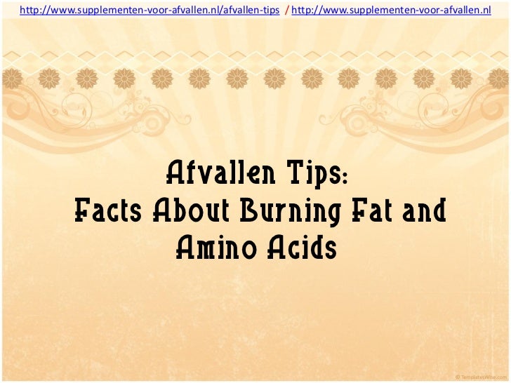 Afvallen Tips Burning Fat Fast with Amino Acids