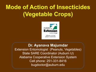Mode of Action of Insecticides (Vegetable Crops) Dr. Ayanava Majumdar Extension Entomologist  (Peanuts, Vegetables) State SARE Coordinator (Auburn U) Alabama Cooperative Extension System Cell phone: 251-331-8416 bugdoctor@auburn.edu 