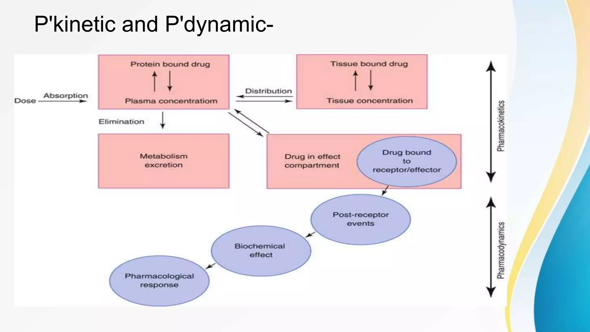 Pharmacokinetics and pharmacodynamics of Biotechnological drugs- | PPTX
