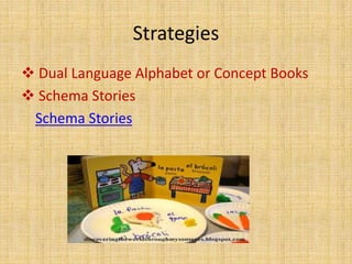 Strategies
 Dual Language Alphabet or Concept Books
 Schema Stories
Schema Stories
 