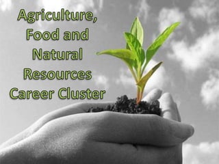 Agriculture, Food and Natural Resources Career Cluster 