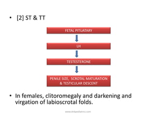 • [2] ST & TT
• In females, clitoromegaly and darkening and
virgation of labioscrotal folds.
FETAL PITUATARY
LH
TESTESTERONE
PENILE SIZE, SCROTAL MATURATION
& TESTICULAR DESCENT
www.dnbpediatrics.com
 