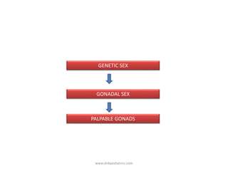 GONADAL SEX
PALPABLE GONADS
GENETIC SEX
www.dnbpediatrics.com
 