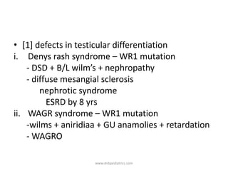 • [1] defects in testicular differentiation
i. Denys rash syndrome – WR1 mutation
- DSD + B/L wilm’s + nephropathy
- diffuse mesangial sclerosis
nephrotic syndrome
ESRD by 8 yrs
ii. WAGR syndrome – WR1 mutation
-wilms + aniridiaa + GU anamolies + retardation
- WAGRO
www.dnbpediatrics.com
 
