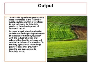 contribution of agriculture to the national economy employment and ...