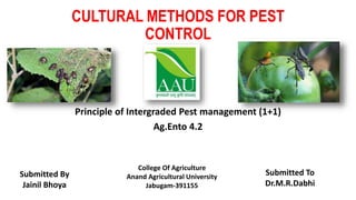 CULTURAL METHODS FOR PEST
CONTROL
Principle of Intergraded Pest management (1+1)
Ag.Ento 4.2
College Of Agriculture
Anand Agricultural University
Jabugam-391155
Submitted By
Jainil Bhoya
Submitted To
Dr.M.R.Dabhi
 