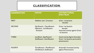AMINOGLYCOSIDE,QUINOLONES AND MACROLIDES ANTIBIOTIC | PPTX