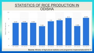 STATISTICS OF RICE PRODUCTION IN
ODISHA
Source: Ministry of Agricultural statistics and programme implementation2016-17
 