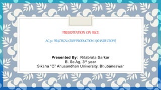 PRESENTATION ON RICE
AG311-PRACTICALCROPPRODUCTION-I(KHARIFCROPS)
Presented By: Ritabrata Sarkar
B. Sc Ag, 3rd year
Siksha “O” Anusandhan University, Bhubaneswar
 