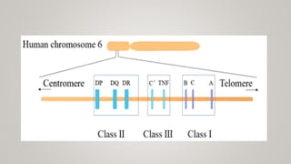 Antigens and Antibodies in blood bank practice | PPTX