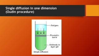 Single diffusion in one dimension
(Oudin procedure)
 