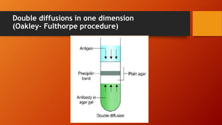Double diffusions in one dimension
(Oakley- Fulthorpe procedure)
 