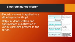 Electroimmunodiffusion
• Electric current is applied to a
slide layered with gel.
• Helps in identification and
approximate quantitation of
various proteins present in the
serum.
 