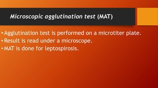 Microscopic agglutination test (MAT)
• Agglutination test is performed on a microtiter plate.
• Result is read under a microscope.
• MAT is done for leptospirosis.
 
