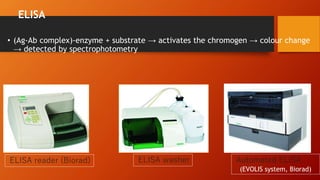 ELISA
• (Ag-Ab complex)-enzyme + substrate → activates the chromogen → colour change
→ detected by spectrophotometry
ELISA reader (Biorad) ELISA washer Automated ELISA
(EVOLIS system, Biorad)
 