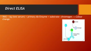 Direct ELISA
• Well + Ag (test serum) + primary Ab-Enzyme + substrate- chromogen → Colour
change.
 