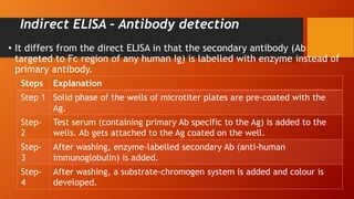 Indirect ELISA – Antibody detection
• It differs from the direct ELISA in that the secondary antibody (Ab
targeted to Fc region of any human Ig) is labelled with enzyme instead of
primary antibody.
Steps Explanation
Step 1 Solid phase of the wells of microtiter plates are pre-coated with the
Ag.
Step-
2
Test serum (containing primary Ab specific to the Ag) is added to the
wells. Ab gets attached to the Ag coated on the well.
Step-
3
After washing, enzyme-labelled secondary Ab (anti-human
immunoglobulin) is added.
Step-
4
After washing, a substrate-chromogen system is added and colour is
developed.
 