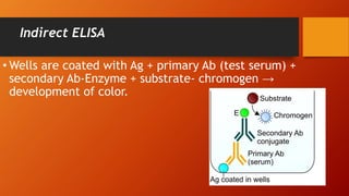 Indirect ELISA
• Wells are coated with Ag + primary Ab (test serum) +
secondary Ab-Enzyme + substrate- chromogen →
development of color.
 