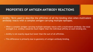 PROPERTIES OF ANTIGEN ANTIBODY REACTIONS
• Avidity: Term used to describe the affinities of all the binding sites when multivalent
antibody reacts with a complex antigen carrying multiple epitopes.
o When a complex antigen carrying multiple epitopes reacts with a multivalent antibody; the total
strength (i.e. avidity) would be much higher than the individual affinity at each binding site.
o Avidity is not exactly equal but lower than the sum of all affinities.
o This difference is primarily due to geometry of antigen antibody binding.
 