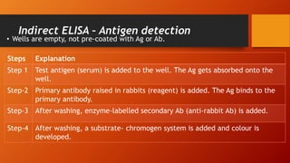 Indirect ELISA – Antigen detection
• Wells are empty, not pre-coated with Ag or Ab.
Steps Explanation
Step 1 Test antigen (serum) is added to the well. The Ag gets absorbed onto the
well.
Step-2 Primary antibody raised in rabbits (reagent) is added. The Ag binds to the
primary antibody.
Step-3 After washing, enzyme-labelled secondary Ab (anti-rabbit Ab) is added.
Step-4 After washing, a substrate- chromogen system is added and colour is
developed.
 