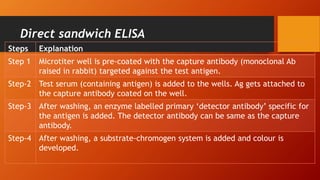 Direct sandwich ELISA
Steps Explanation
Step 1 Microtiter well is pre-coated with the capture antibody (monoclonal Ab
raised in rabbit) targeted against the test antigen.
Step-2 Test serum (containing antigen) is added to the wells. Ag gets attached to
the capture antibody coated on the well.
Step-3 After washing, an enzyme labelled primary ‘detector antibody’ specific for
the antigen is added. The detector antibody can be same as the capture
antibody.
Step-4 After washing, a substrate-chromogen system is added and colour is
developed.
 