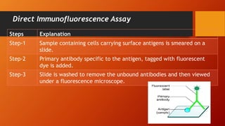 Direct Immunofluorescence Assay
Steps Explanation
Step-1 Sample containing cells carrying surface antigens is smeared on a
slide.
Step-2 Primary antibody specific to the antigen, tagged with fluorescent
dye is added.
Step-3 Slide is washed to remove the unbound antibodies and then viewed
under a fluorescence microscope.
 