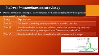 Indirect Immunofluorescence Assay
Steps Explanation
Step-1 Test serum containing primary antibody is added to the slide.
Step-2 Slide is washed to remove the unbound antibodies. A secondary antibody
(anti human antibody conjugated with fluorescent dye) is added.
Step-3 Slide is washed and then viewed under a fluorescence microscope
• Detects antibodies in sample. Slides smeared with cells carrying known antigens are
commercially available.
 