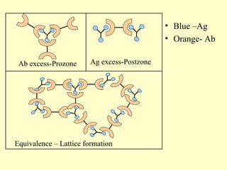 Postzone Antigen - antibody reaction based on medical science | PPT