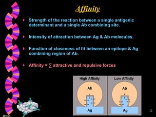 Affinity Strength of the reaction between a single antigenic determinant and a single Ab combining site. Intensity of attraction between Ag & Ab molecules. Function of closeness of fit between an epitope & Ag combining region of Ab. Affinity = ∑ attractive and repulsive forces 