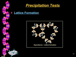 Precipitation Tests Lattice Formation Equivalence – Lattice formation 