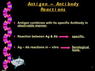 Antigen – Antibody Reactions Antigen combines with its specific Antibody in  observable manner . Reaction between Ag & Ab  specific. Ag – Ab reactions in – vitro  Serological    tests. 
