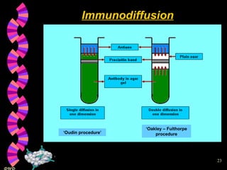 Immunodiffusion ‘ Oudin procedure’ ‘ Oakley – Fulthorpe procedure 