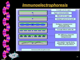 Immunoelectrophoresis 